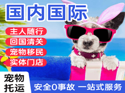 桂林两江航空快递国际宠物托运 【国